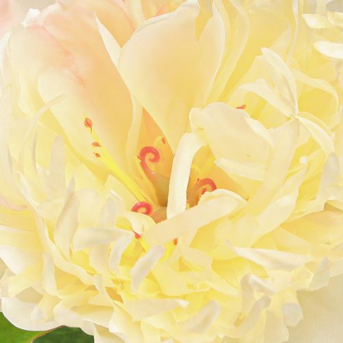 Artikel Deko Pfingstrosen Kunstblumen Gelbe Blüte L64cm 2St