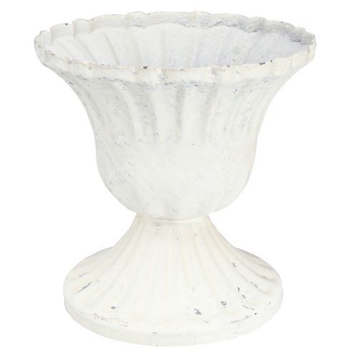 Floristik24 Deko Pokal Shabby Chic Kelch Weiß Ø8cm H8,5cm 2St