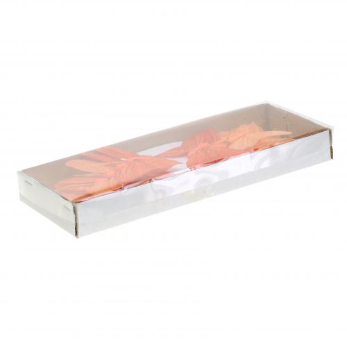 Floristik24 Deko-Schmetterling Orange 12St