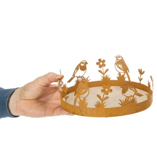 Dekotablett Holz und Metall Ø20cm Rostoptik mit Vogelmotiv als Frühlingsdeko | Floristik24.ch