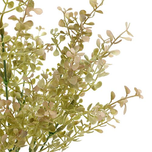 Floristik24 Deko-Zweig Hellgrün 35cm