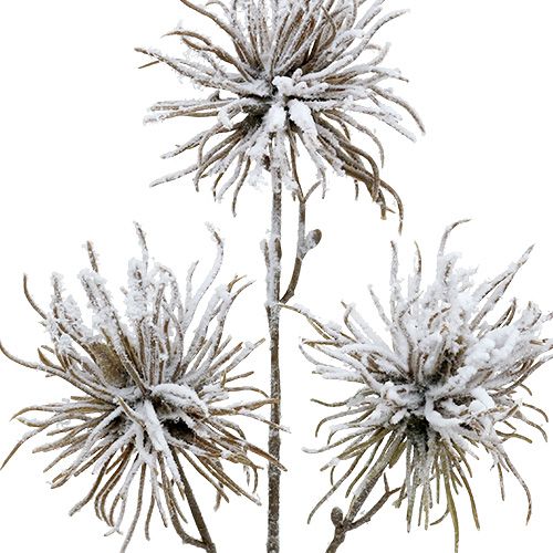 Deko Zweig beschneit 45cm 3St | Floristik24.ch