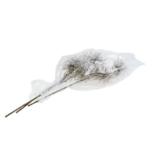 Deko Zweig beschneit 45cm 3St | Floristik24.ch