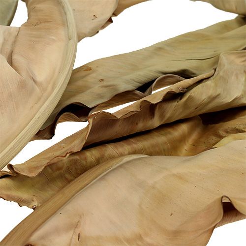 Floristik24 Deko Blätter Natur 120cm 20St