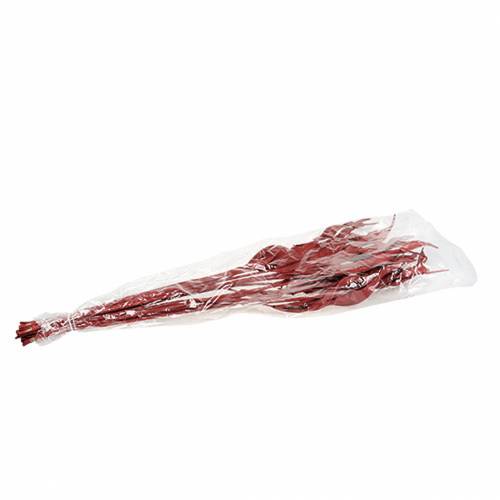 Floristik24 Deko Blätter Strelitzie Rot 85-105cm 10 St