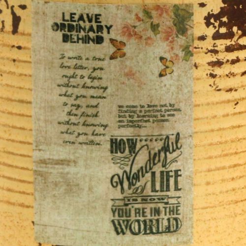 Artikel Deko Dose Apricot Pflanztopf Metall Sommerdeko Ø15,5cm H15cm