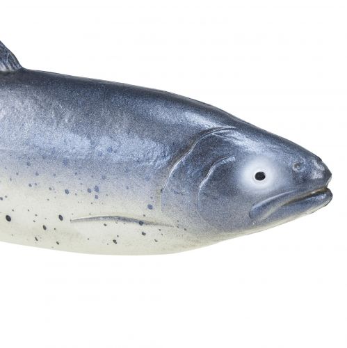 Artikel Deko Fisch Lebensmittelattrappe Fisch künstlich 31cm