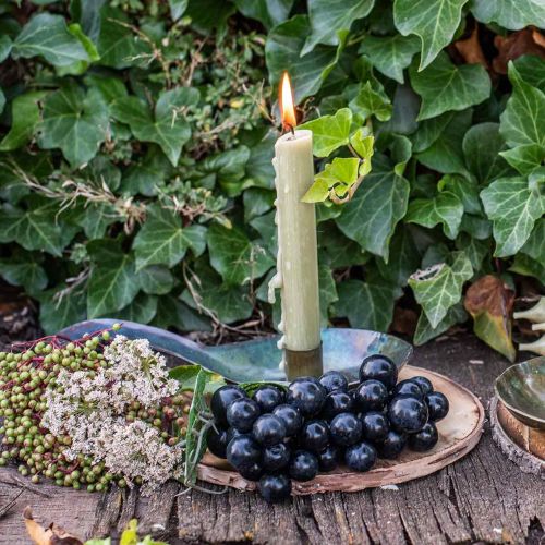 Floristik24 Deko Holzscheibe geflammt Rustikale Holzdeko Sperrholz Ø20cm