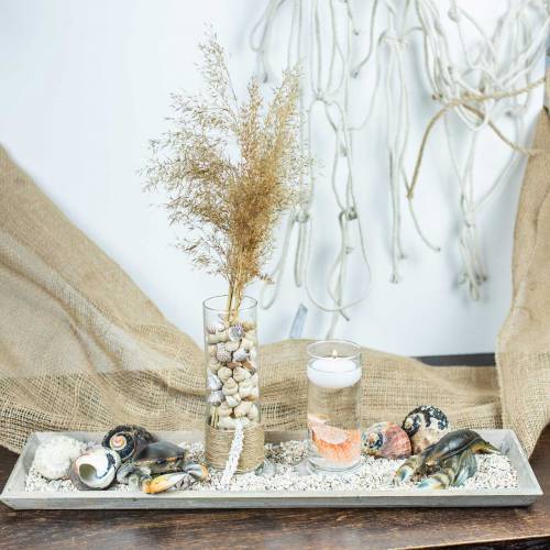 Floristik24 Deko Krabbe und Hummer 11cm – 15cm