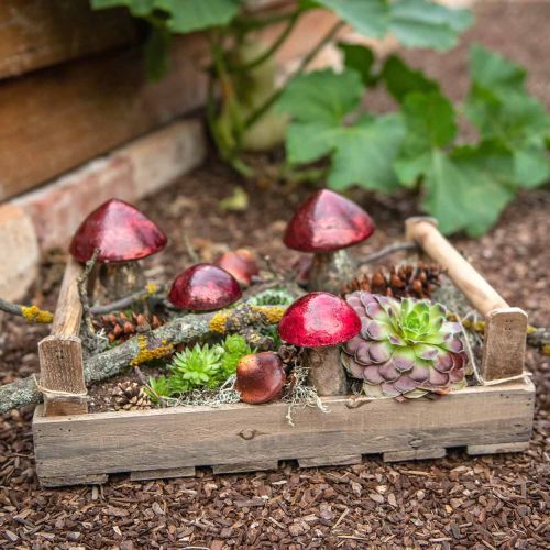 Floristik24 Deko Pilze Glas Rot Herbstdeko Tischdeko Ø6,5cm H10cm 3St