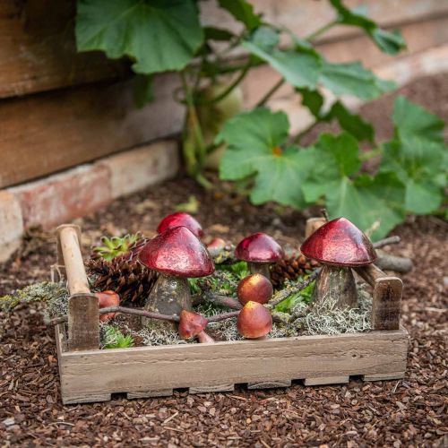 Floristik24 Deko Pilze Glas Rot Vintage Herbstdeko Ø9cm H13,5cm 2St