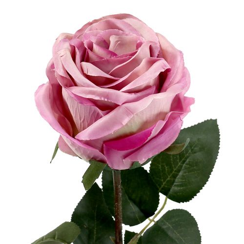 Floristik24 Deko-Rose gefüllt altrosa Ø10cm L65cm 3St