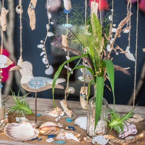 Floristik24 Deko Tillandsie Grün 16cm 4St