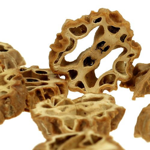 Floristik24 Nuss Scheiben 2cm natur 250g