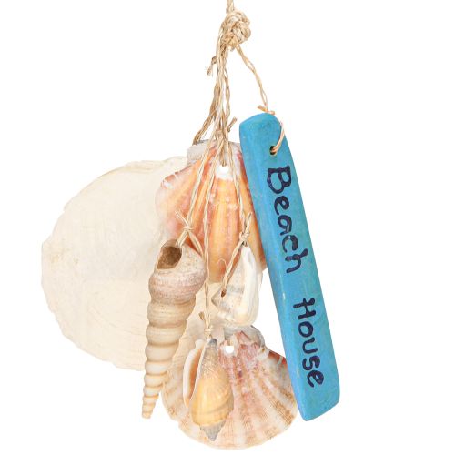 Floristik24 Dekohänger Beach House Blau Capiz Turmschnecke H25cm
