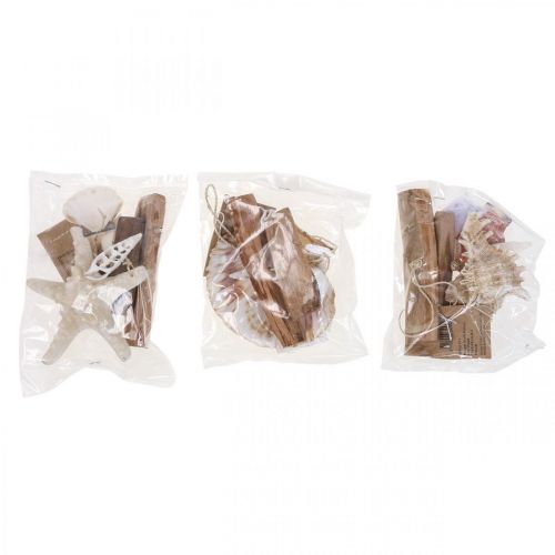 Floristik24 Dekohänger maritim Hängedeko Muscheln Seestern 27cm 3St