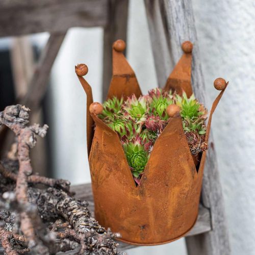 Floristik24 Dekokrone, Metalldeko, Edelrost Ø15cm H11,5cm