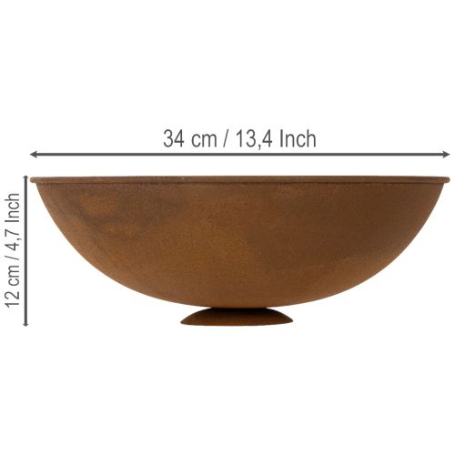 Artikel Dekoschale aus Metall Rost Ø34cm H12cm – Pflanzenschale für Balkon & Terrasse