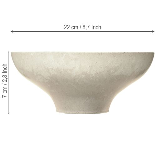 Floristik24 Dekoschale mit Fuß Plastikschale rund Creme Ø19cm H8cm