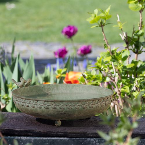 Floristik24 Dekoschale mit Vögeln Metall Schale Antik Grün Braun Ø30cm