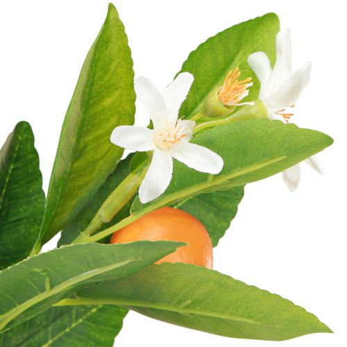 Floristik24 Dekozweig Orangen und Blüten Orangenzweig künstlich 78cm