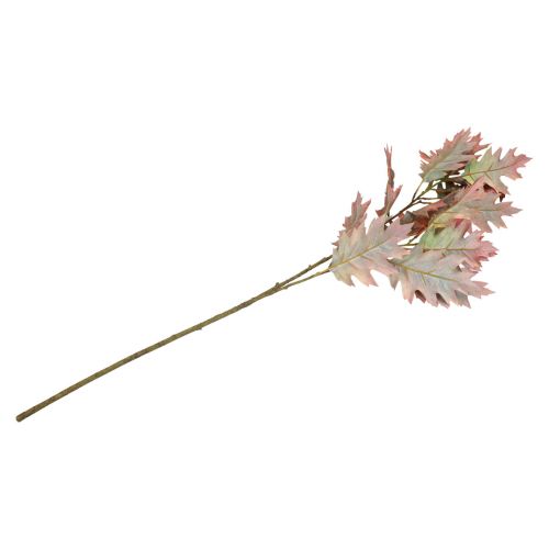 Floristik24 Dekozweig Herbst Deko Blätter Eichenlaub Rot, Grün 100cm