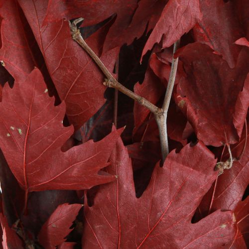 Floristik24 Dekozweige Ahorn Blätter Deko Ahornblätter Rot 50-60cm 100g