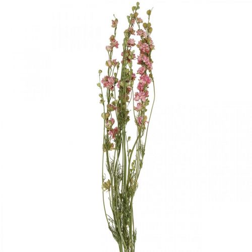 Floristik24 Trockenblume (künstlich) Rittersporn Delphinium Rosa, Deko Blumen Vase 64cm 25g
