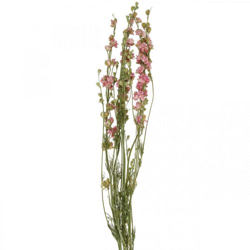 Artikel Trockenblume Rittersporn, Delphinium Rosa, Trockenfloristik L64cm 25g