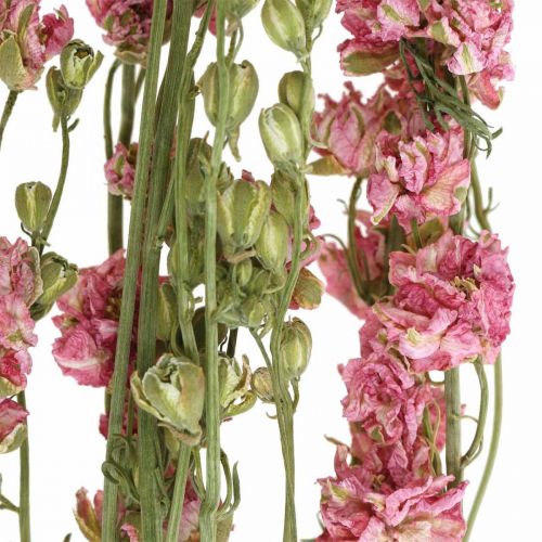 Artikel Trockenblume (künstlich) Rittersporn Delphinium Rosa, Deko Blumen Vase 64cm 25g