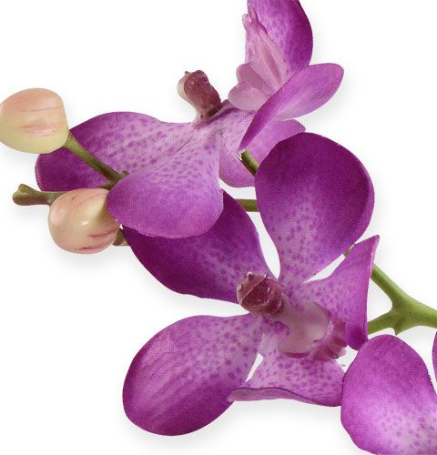 Artikel Orchidee Lila 38cm