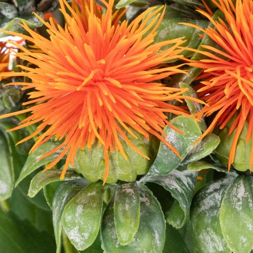 Künstliche Färberdistel orange 55cm 4 Stiele aus Kunststoff und Textil | Floristik24.ch