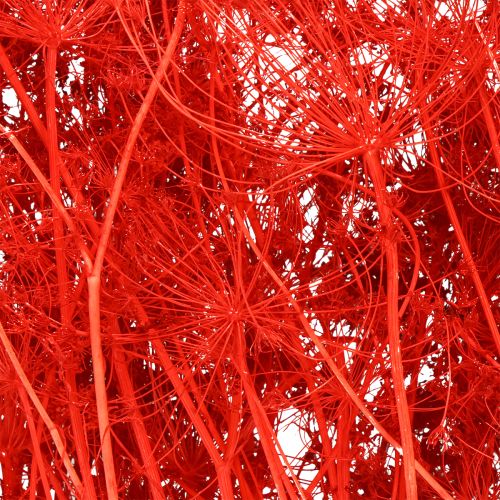 Artikel Doldenblütler Dekoblumenstrauß für Hochzeiten und Events