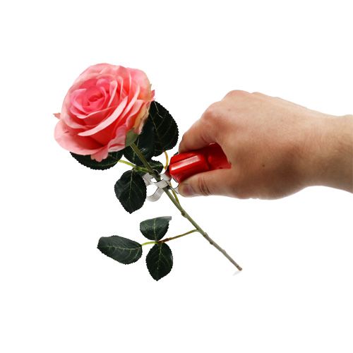 Floristik24 Rosenentdorner