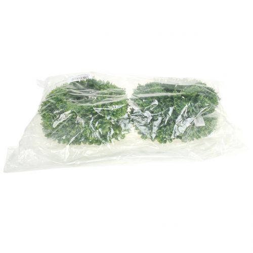 Floristik24 Echeverienkranz Grün Ø18cm 4St