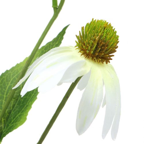 Artikel Echinacea Blüte künstlich Weiß 90cm