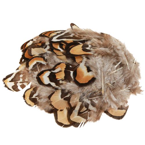 Artikel Echte Vogelfedern Deko Federn gestreift 3-4cm 60 St