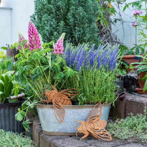 Floristik24 Edelrost Gartendeko Biene L15cm