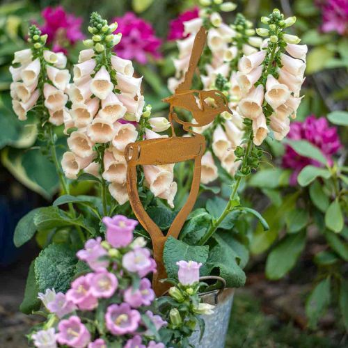 Floristik24 Edelrost Gartenstecker Vogel auf Schaufelgriff H46,5cm