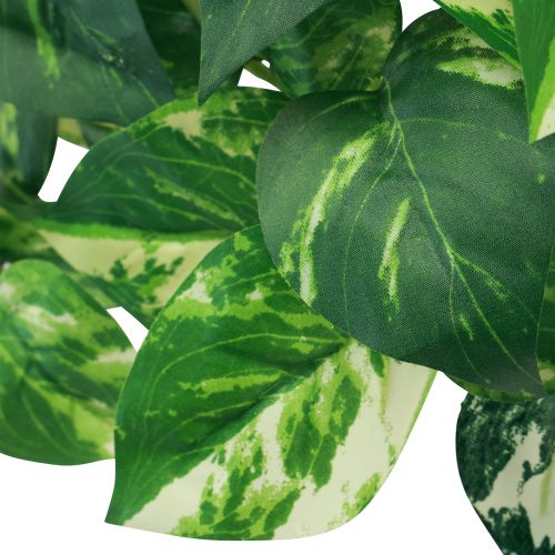 Floristik24 Efeutute Pothos Efeu künstlich Goldranke 50cm