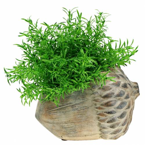 Floristik24 Übertopf Beton Eichel 21,5cm × 14cm H9,5cm