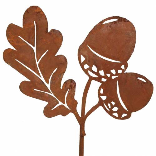 Floristik24 Gartenstecker Eicheln mit Blatt Edelrost Metall H19cm 6 St