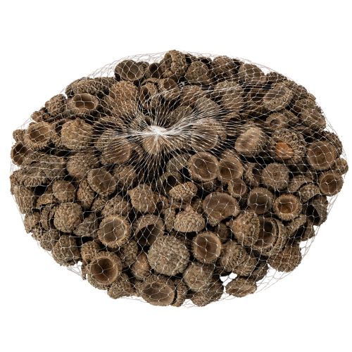 Eichelkappen aus Naturmaterial ca. 2 cm Braun 300 g für Herbst- und Adventsdekoration | Floristik24.ch