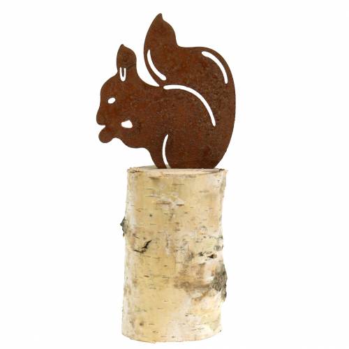 Floristik24 Eichhörnchen Edelrost auf Stamm H22cm