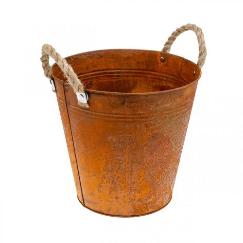 Floristik24 Übertopf mit Henkeln, Pflanzschale, Metallgefäß mit Rostdeko Ø25cm H24cm