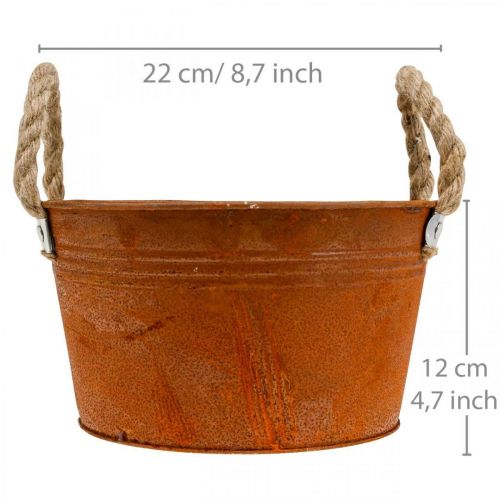 Floristik24 Metalltopf mit Seilgriffen, Pflanzschale, Herbst, Edelrost Ø22cm H12cm