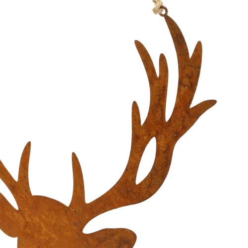 Floristik24 Elchkopf Rost zum Hängen 23,5cm x 22cm
