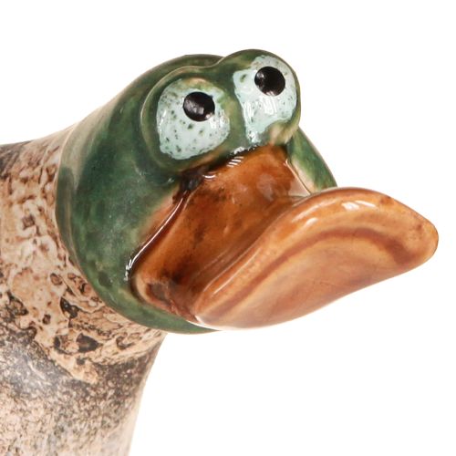 Floristik24 Enten Deko Keramik Frühling Erpel Braun Grün L15cm 2 St