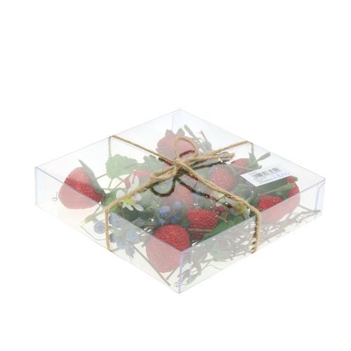 Floristik24 Bastelset Beeren, Dekoäste und Blätter