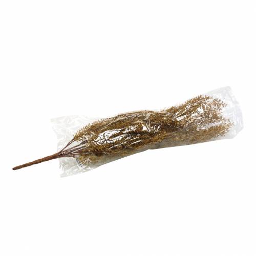 Floristik24 Deko Erika-Zweig Heidekraut Gelb, Braun H50cm